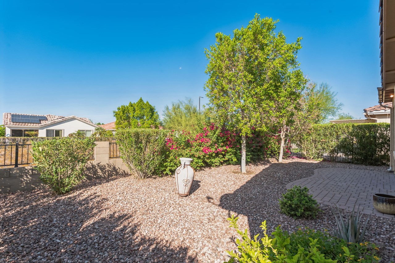 backyard looking toward wash